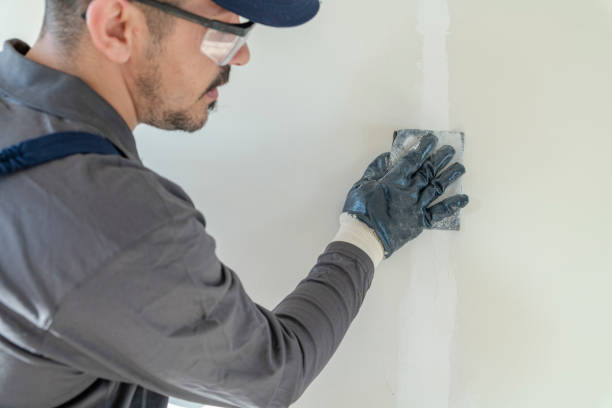 Wallpaper Removal and Painting in West Wendover, NV